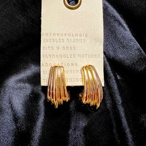 Anthropology NWT fabulous bold statement earrings retail for 38 now 25.